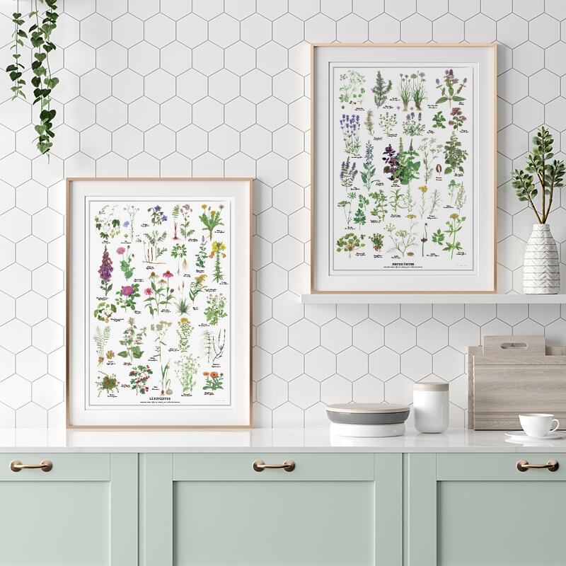 36304324 1865323740157248 6192368407241818112 O